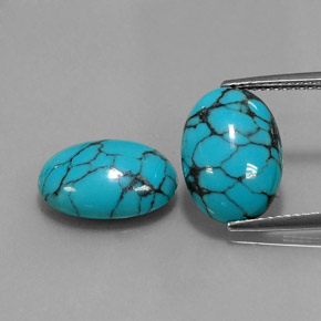 Gemas de turquesa azul natural de  ct, corte óvalo, opaco