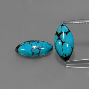 Gemas de turquesa azul natural de  ct, marquesa, opaco