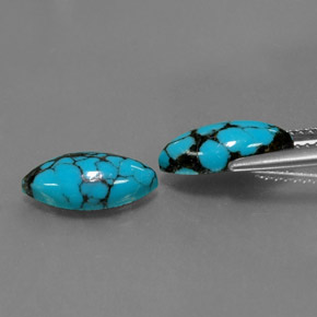 Gemas de turquesa azul natural de  ct, marquesa, opaco