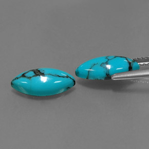 Gemas de turquesa azul natural de  ct, marquesa, opaco