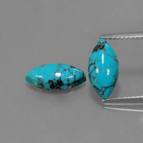 Gemas de turquesa azul natural de  ct, marquesa, opaco