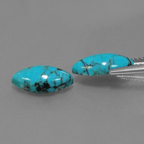 Gemas de turquesa azul natural de  ct, marquesa, opaco
