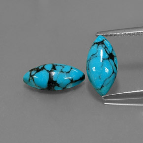 Gemas de turquesa azul natural de  ct, marquesa, opaco
