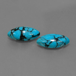 Gemas de turquesa azul natural de  ct, marquesa, opaco