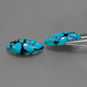 Gemas de turquesa azul natural de  ct, marquesa, opaco