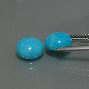 Gemas de turquesa azul natural de  ct, corte redondo, opaco