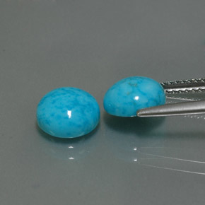 Gemas de turquesa azul natural de  ct, corte redondo, opaco