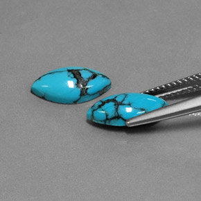 Gemas de Turquesa Azul natural de  ct, Marquesa, Opaco