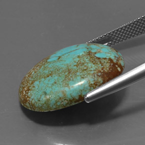 Turquesa verde natural de 12,94 ct, corte óvalo, opaco
