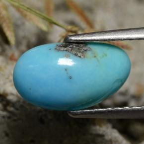 Turquesa azul natural de 1,34 ct, forma elegante, opaco