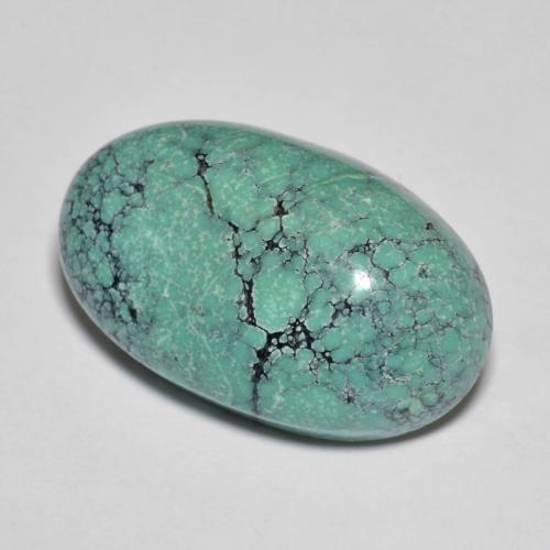 Turquesa turquesa natural de 13,76 ct, corte óvalo, opaco