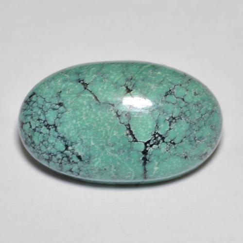 Turquesa turquesa natural de 13,76 ct, corte óvalo, opaco