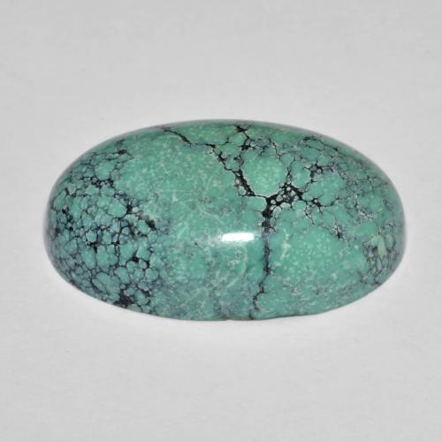 Turquesa turquesa natural de 13,76 ct, corte óvalo, opaco