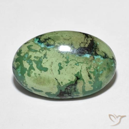 Turquesa verde natural de 9,73 ct, corte óvalo, opaco