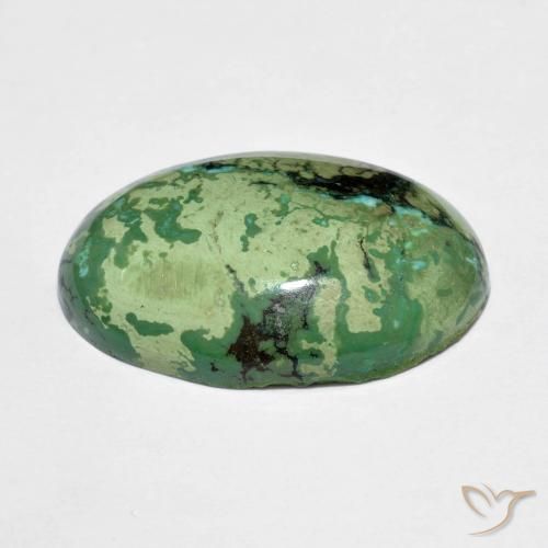Turquesa verde natural de 9,73 ct, corte óvalo, opaco