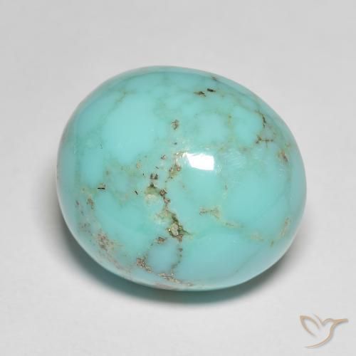 Turquesa turquesa natural de 18,73 ct, corte óvalo, opaco