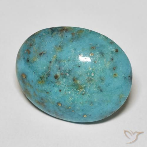 Turquesa Verde azulado natural de 20.24 ct, Ovalada, Opaco