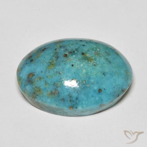 Turquesa Verde azulado natural de 20.24 ct, Ovalada, Opaco