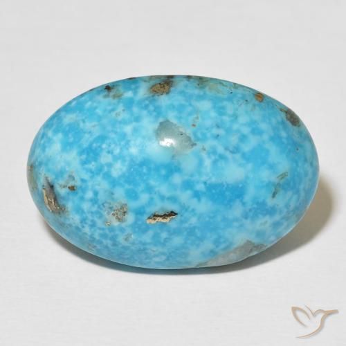 24.84ct Natural Azul verdoso Turquesa, Ovalada, Opaco