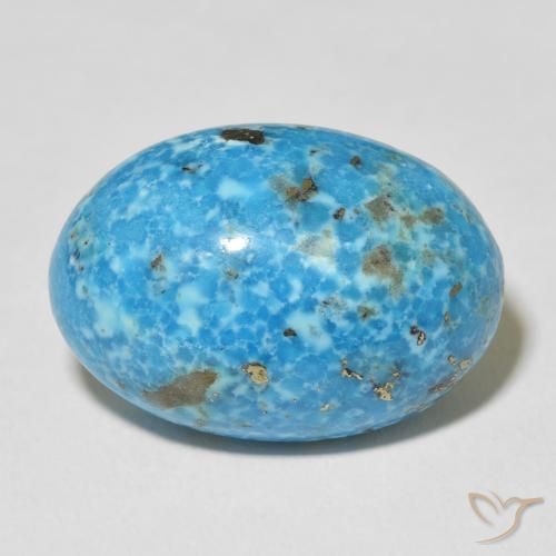 24.33ct Natural Cerceta Turquesa, Ovalada, Opaco