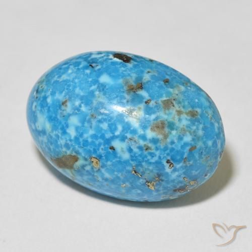 Turquesa Cerceta natural de 24.33 ct, Ovalada, Opaco