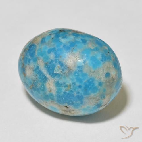 Turquesa Azul verdoso claro natural de 24.07 ct, Ovalada, Opaco
