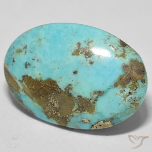 Turquesa Verde espuma de mar natural de 36.87 ct, Ovalada, Opaco