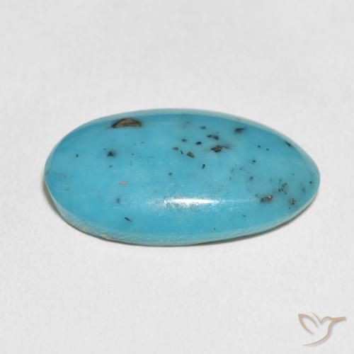 Turquesa Cerceta medio natural de 15.16 ct, Ovalada, Opaco