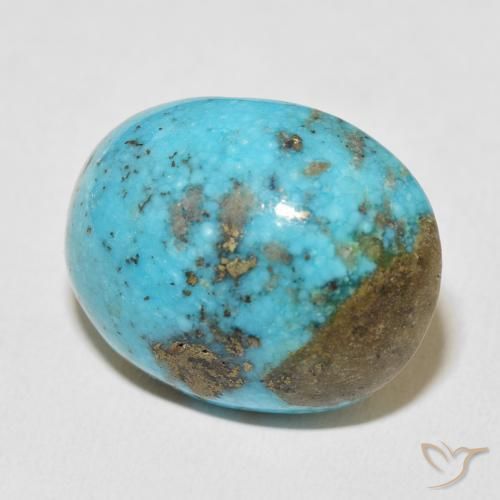 Turquesa Azul verdoso natural de 45.72 ct, Ovalada, Opaco