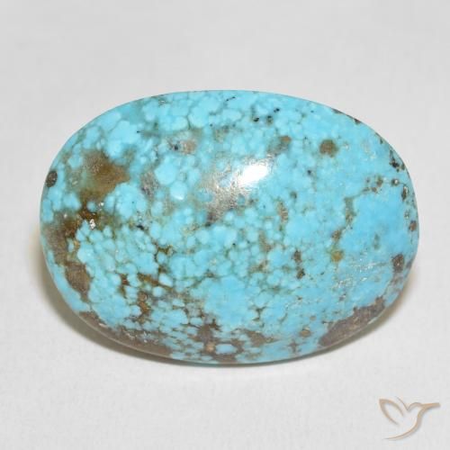 48.31ct Natural Azul verdoso Turquesa, Ovalada, Opaco