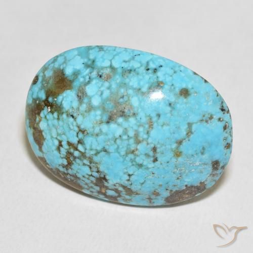 Turquesa Azul verdoso natural de 48.31 ct, Ovalada, Opaco
