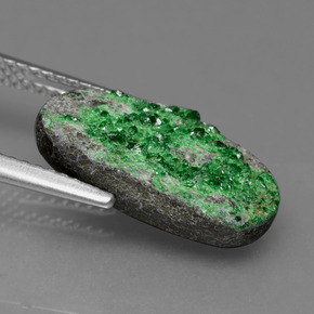 Granate Uvarovita Druzy Verde natural de 7.39 ct, Forma elegante, Opaco