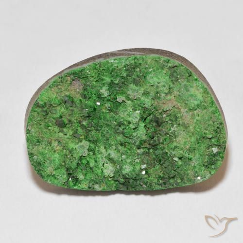 46.78ct Natural Verde medio Granate Uvarovita Druzy, Elegante, Opaco