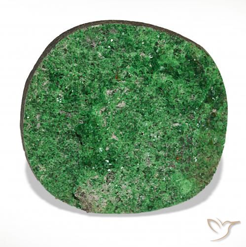 72.09ct Deep Earthy Green Granate Uvarovita Druzy Piedras Preciosas, Elegante, Opaco