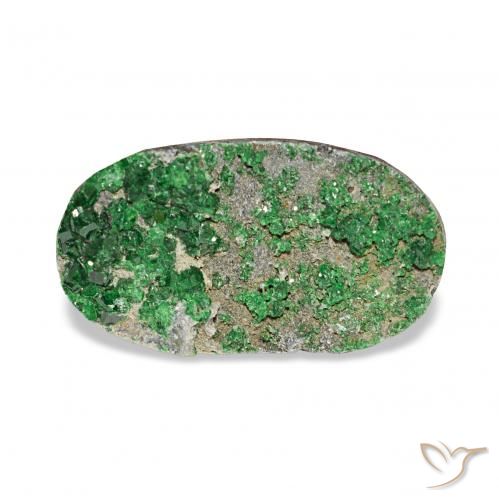 7.91ct Deep Earthy Green Granate Uvarovita Druzy, Ovalada, Opaco