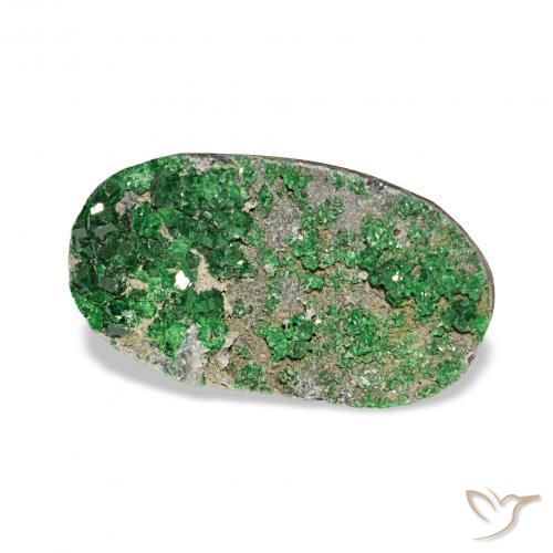 Granate Uvarovita Druzy Deep Earthy Green natural de 7.91 ct, Ovalada, Opaco