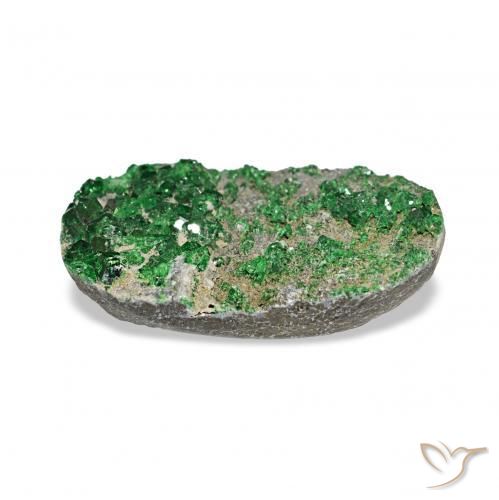 Granate Uvarovita Druzy Deep Earthy Green natural de 7.91 ct, Ovalada, Opaco