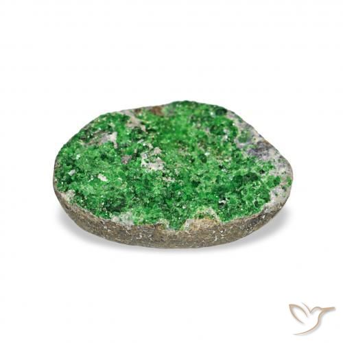 Granate Uvarovita Druzy Verde oscuro natural de 3.67 ct, Elegante, Opaco