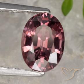 Circón Rojo oscuro natural de 2.96 ct, Ovalada, VVS-VS