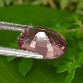 Circón Rosado natural de 4.22 ct, Corte Óvalo, VVS