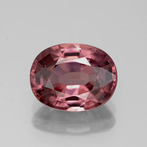 Circón Cuarzo Rosa natural de 2.83 ct, Corte Óvalo, VVS