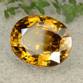 Circón amarillo natural de 47,35 ct, corte óvalo, VVS
