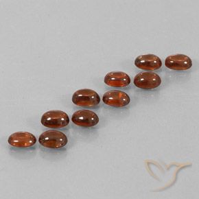 Gemas de Circón Marrón canela intenso natural de 9.79 ct, Ovalada, Transparente