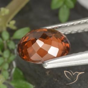 Circón Naranja oscuro natural de 1.49 ct, Ovalada, VS